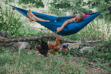 Man Rests In Hammock And Talks To His Hens.