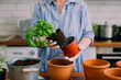© Pixel Stories/Stocksy - Repotting herbs at home