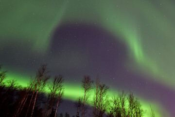 the aurora borealis, or northern lights, brightens the march night sky over wasilla, alaska.