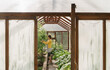 © Hernandez & Sorokina/Stocksy - Woman Working In Greenhouse