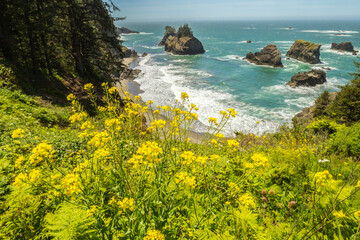 Sticker - USA, Oregon, Arch Rock Viewpoint. Coastline landscape.