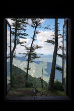 Open Window Overlooking Nature