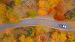 © Aaron Macrae/Stocksy - Car Driving in Fall Foliage