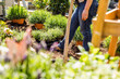 © karepa - Midsection of a middle aged woman planting flowers in garden.