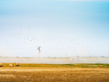 Hay Bales On The Prairie