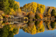Autumn Reflections, Dillon Falls Trail, Deschutes River, Deschutes National Forest, Oregon, USA