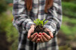 © Sibstock/Stocksy - senior woman with hat holding a sprout of fresh seedlings to plant in the garden
