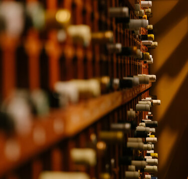 wine cellar