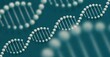 © Valeriya Simantovskaya/Stocksy - Science Biotechnology DNA. abstract illustration