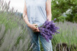 © Lauren Edmonds/Stocksy - Bundle of Fresh Lavender in Oregon Lavender Fields