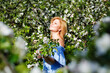 © Elena  - A young blonde in a blue dress in a spring apple orchard with her eyes closed enjoys the flowering. The concept of a plus-size woman and tenderness, modern beauty or femininity.