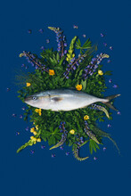 A Fish On Blue Background With Flowers