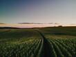 © Javier Pardina/Stocksy - Aerial Cornfields fields
