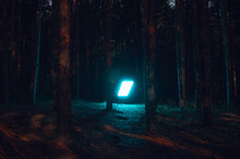 Mysterious Light Illuminating The Forest