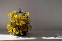 Bird Cage With Yellow Flowers For Home Decor