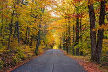 Simple Autumn Road