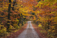 Autumn Gravel Road In New Hampshire