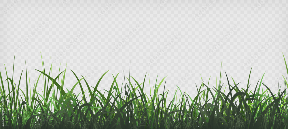 Green grass template. Seamless pattern - obrazy, fototapety, plakaty 