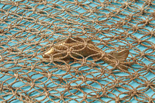 Golden Fish Covered The Fishnet Braided From Rope.