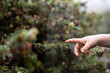 © Blue Mountain Thyme/Stocksy - A hand reaches out to touch the center of a spider web