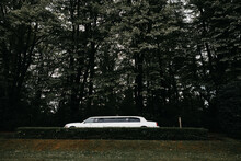 White Limousine In Front Of Trees