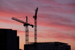 © Nicolai Perjesi Photography/Stocksy - Cranes at sunset