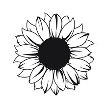 Sunflower Vector Illustration In Black Color