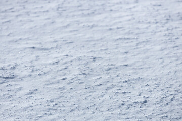 Canvas Print - snowy texture. background for design. Winter