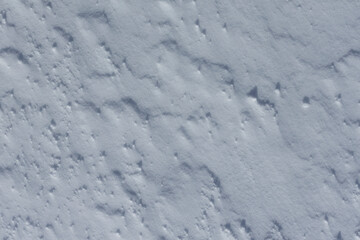 Poster - snowy texture. background for design. Winter