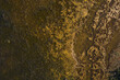 © Adrian P Young/Stocksy - Wetlands Textures