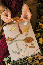 Closeup Of A Young Woman Decorating A Leaf In The Wood