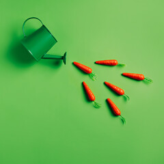 Watering can with stream of carrots falling on vibrant green background. Creative Easter or vegetable food layout with copy space. Minimal natural visual style. Flat lay, top view.