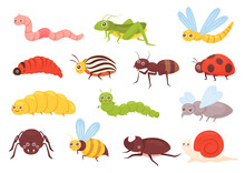 Cute Insects Vector Illustration Set. Cartoon Colorful Funny Insect Characters For Childish Kids Collection With Grasshopper Ant Bug Dragonfly Worm Spider Fly Ladybug Bee Beetle Isolated On White