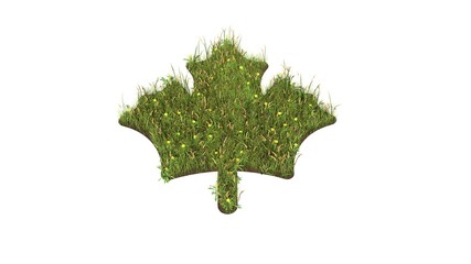 Sticker - 3d rendered grass field of symbol of maple leaf isolated on white background