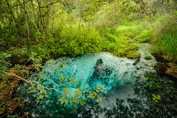 River source with clear turquoise water, in the middle of the rain forest with trees and aquatic plants in Bonito, Mato Grosso do Sul, Brazil on March 31, 2007