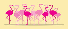 Flock Of Flamingos Isolated, Flat Vector Stock Illustration With Pink Exotic Birds, Animals On Yellow Background