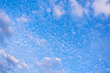 Wall Mural - blue sky with lush clouds, copying space