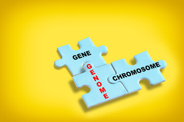 Genome gene and chromosome written on blue puzzle jigsaw with shadow on yellow background. What is a genome concept and dna education idea