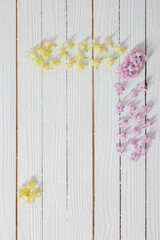 Wall Mural - flowers of  hyacinths on white wooden background