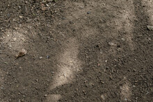 Closeup Shot Of A Muddy Ground Full Of Tiny Rocks And Dry Leaves