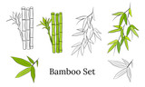 Fototapeta Sypialnia - Hand drawn illustration with bamboo stem and leaves. Set of bamboo tree leaves. Hand drawn botanical collection. Drawing of parts of bamboo and sections of branches and leaves on a white background. 