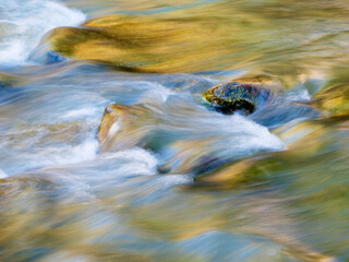 Wall Mural - USA, Utah. Zion National Park, Virgin River close-up