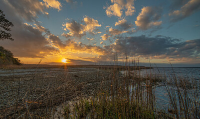 Wall Mural - Sunset beauty in the low country