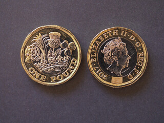 Wall Mural - 1 pound coin, United Kingdom