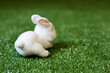 © Esdras - Easter fluffy rabbit in the grass