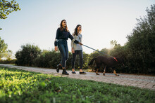 Sisters Walking Dog In Park