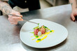 © Connect Images - Chef preparing raw meat dish in kitchen