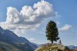 © Connect Images - Cyclist resting on hill, Flüela Pass, Davos, Graubünden, Switzerland