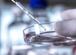 © Connect Images - Scientist pipetting sample into a petri dish containing cells during an experiment in the laboratory.