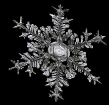 Extreme Close Up Of Snowflake On Black Background, Structure And Natural Pattern